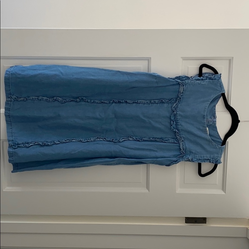 Zara Denim Tencel Dress